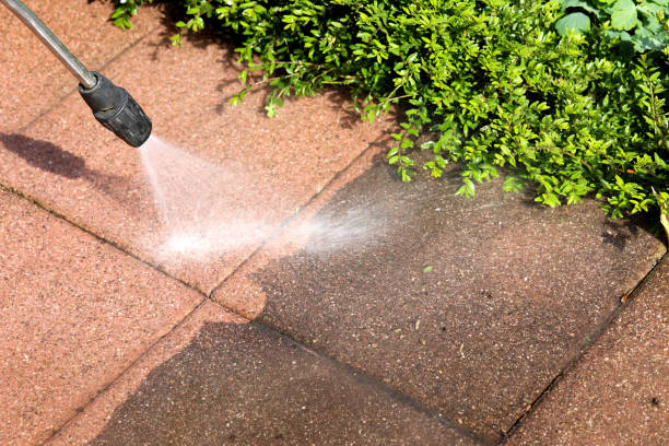 Best Roof Power Washing Services  in Norristown, PA